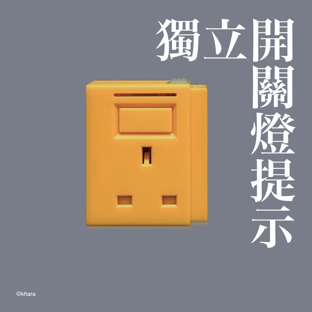 新世紀福音戰士 (零號機) x MYSOCKET 任你砌嘅拖板